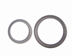 氟橡膠骨架油封 氟橡膠骨架油封圖片