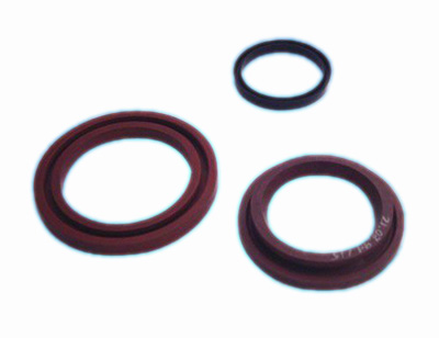 PTFE��������DƬ